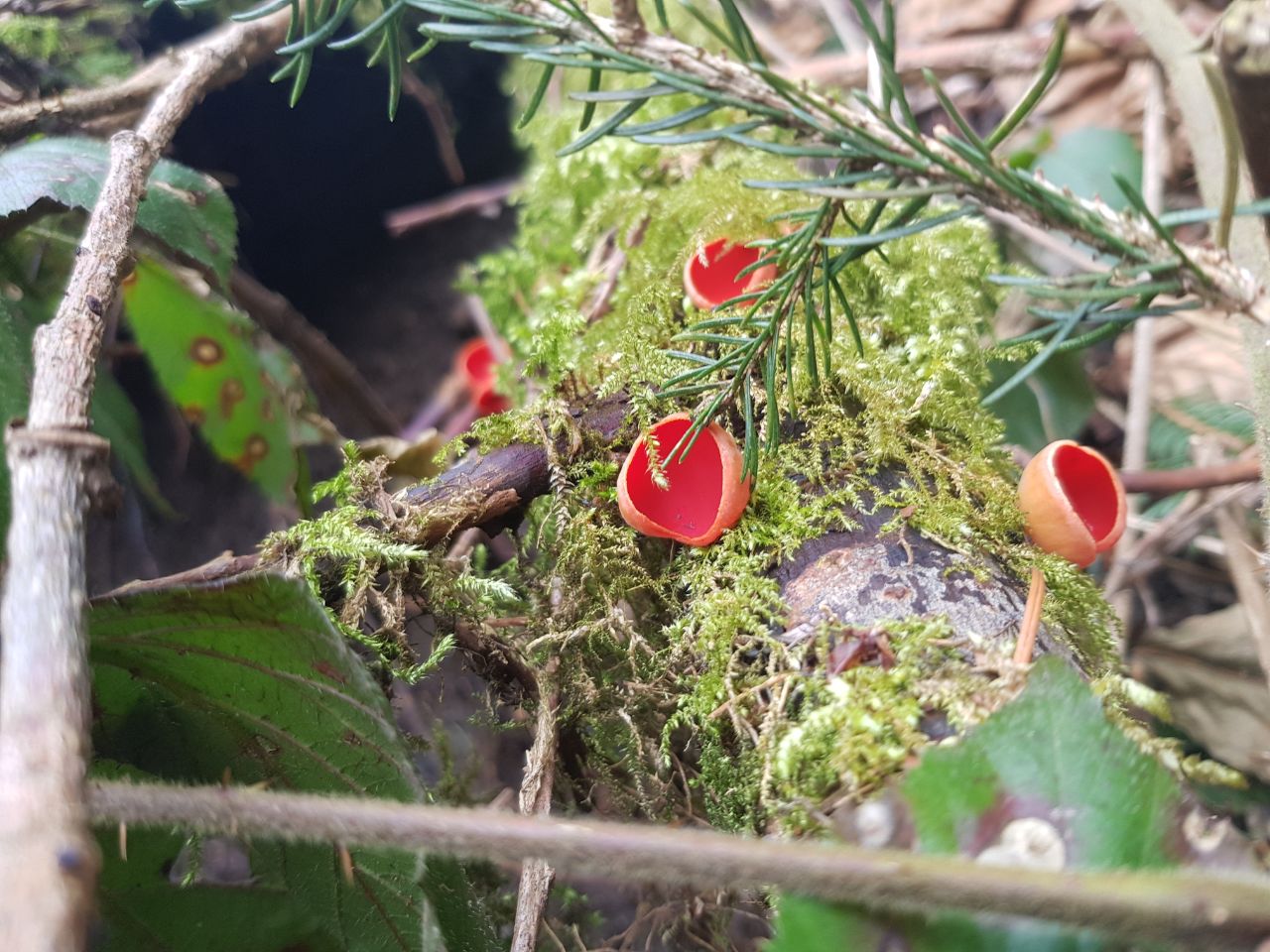 photo_2025-04-09_19-50-42