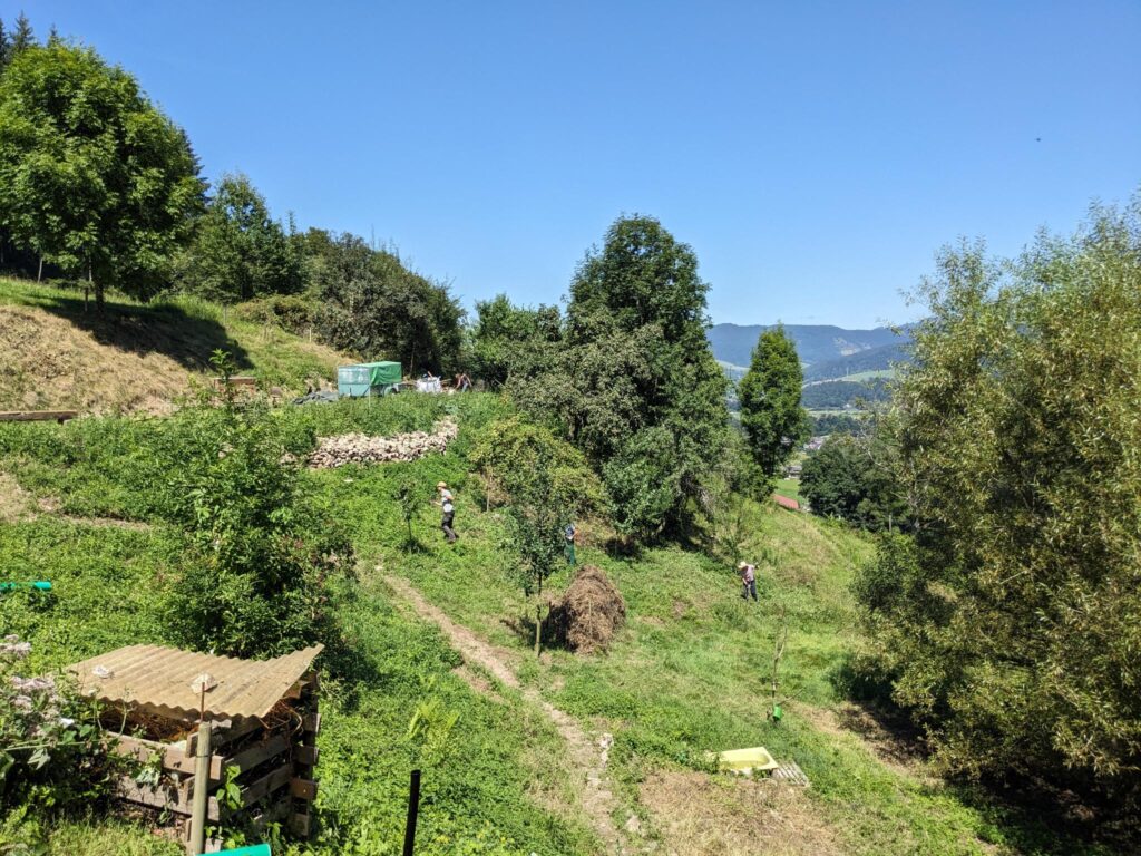 signal-2024-08-13-175239_002