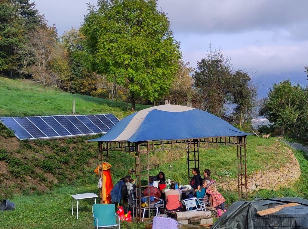 signal-2024-10-24-091205_006